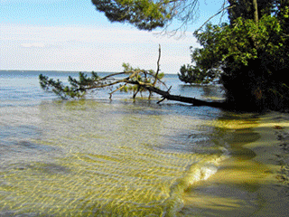Lac de Biscarrosse