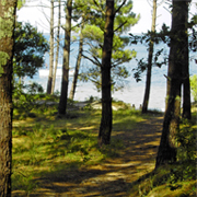 Biscarrosse Lac